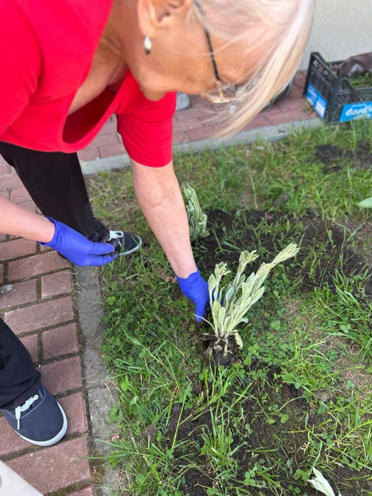 Akcja sadzenia roślin z udziałem pracowników i społeczności lokalnej