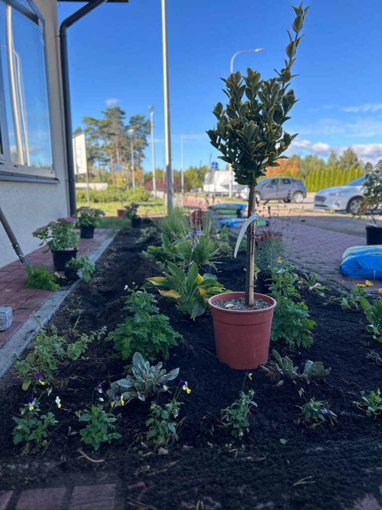 Wspólnie z Powiatowe Centrum Wolontariatu w Skarżysku-Kamiennej, zrealizowaliśmy kolejną lokalną inicjatywę, której efektem jest powstanie ogródka społecznego. W tworzenie ogródka zaangażowani byli uczestnicy Miejsca Aktywności Lokalnej, którzy wspólnie z organizatorami społeczności lokalnej włożyli wiele pracy, energii i serca w realizację tego przedsięwzięcia.